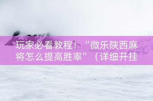 玩家必看教程！“微乐陕西麻将怎么提高胜率”（详细开挂教程）-哔哩哔哩