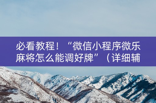 必看教程！“微信小程序微乐麻将怎么能调好牌”（详细辅助教程）-哔哩哔哩