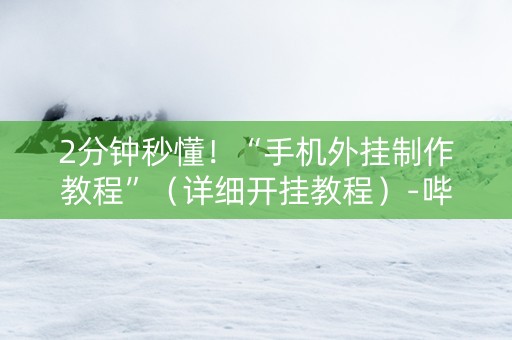 2分钟秒懂！“手机外挂制作教程”（详细开挂教程）-哔哩哔哩