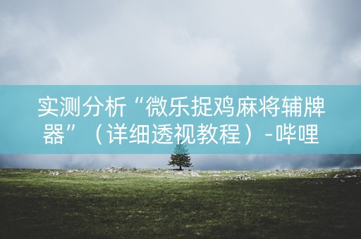 实测分析“微乐捉鸡麻将辅牌器”（详细透视教程）-哔哩哔哩