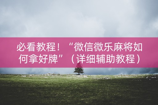 必看教程！“微信微乐麻将如何拿好牌”（详细辅助教程）-哔哩哔哩