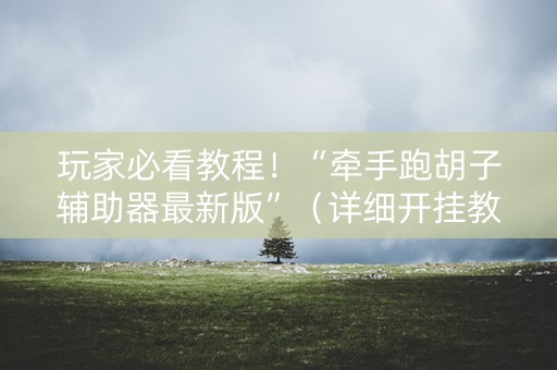 玩家必看教程！“牵手跑胡子辅助器最新版”（详细开挂教程）-哔哩哔哩