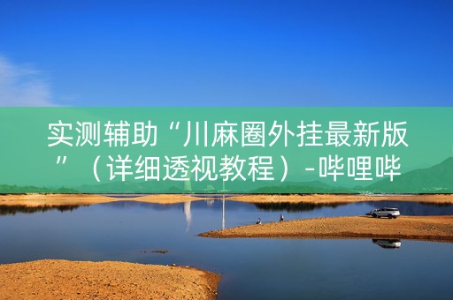 实测辅助“川麻圈外挂最新版”（详细透视教程）-哔哩哔哩