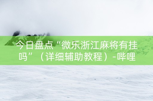 今日盘点“微乐浙江麻将有挂吗”（详细辅助教程）-哔哩哔哩
