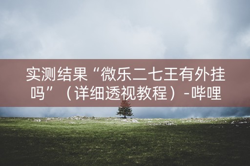 实测结果“微乐二七王有外挂吗”（详细透视教程）-哔哩哔哩