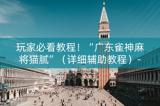 玩家必看教程！“广东雀神麻将猫腻”（详细辅助教程）-哔哩哔哩