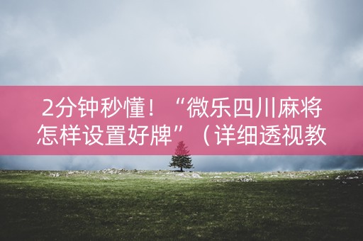 2分钟秒懂！“微乐四川麻将怎样设置好牌”（详细透视教程）-哔哩哔哩
