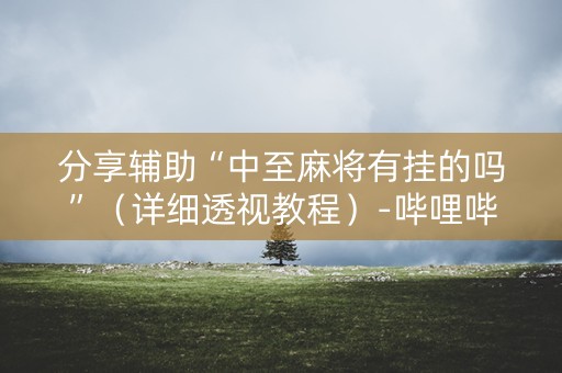 分享辅助“中至麻将有挂的吗”（详细透视教程）-哔哩哔哩