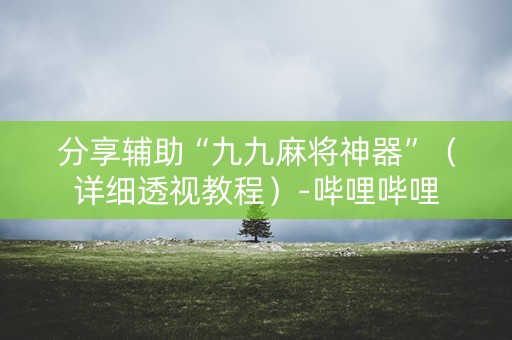 分享辅助“九九麻将神器”（详细透视教程）-哔哩哔哩