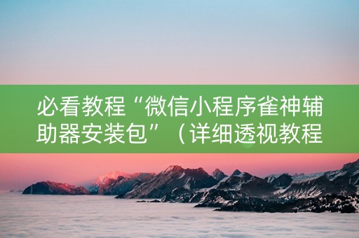必看教程“微信小程序雀神辅助器安装包”（详细透视教程）-哔哩哔哩