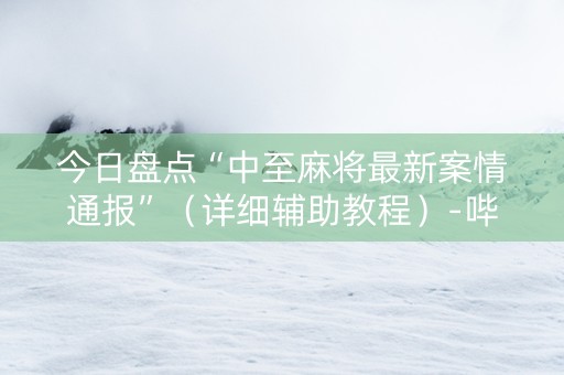 今日盘点“中至麻将最新案情通报”（详细辅助教程）-哔哩哔哩