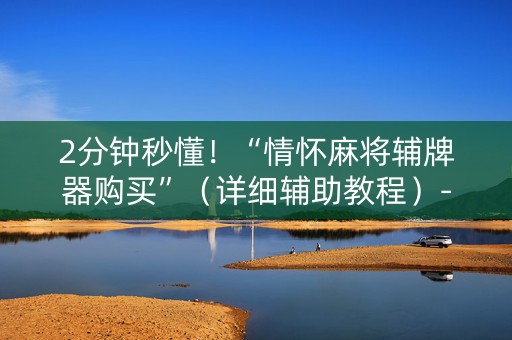 2分钟秒懂！“情怀麻将辅牌器购买”（详细辅助教程）-哔哩哔哩