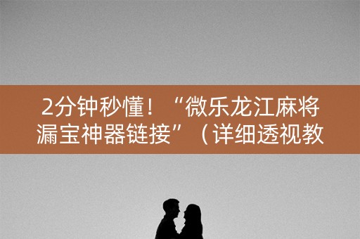 2分钟秒懂！“微乐龙江麻将漏宝神器链接”（详细透视教程）-哔哩哔哩