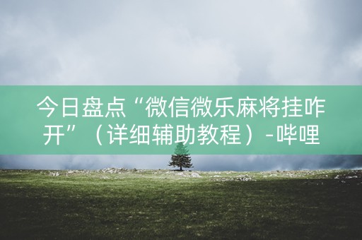 今日盘点“微信微乐麻将挂咋开”（详细辅助教程）-哔哩哔哩