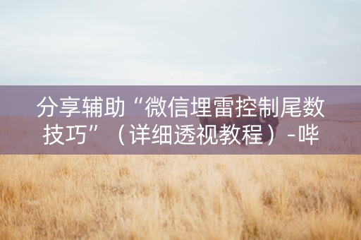 分享辅助“微信埋雷控制尾数技巧”（详细透视教程）-哔哩哔哩