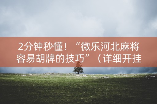 2分钟秒懂！“微乐河北麻将容易胡牌的技巧”（详细开挂教程）-哔哩哔哩