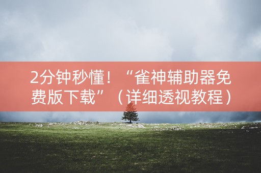 2分钟秒懂！“雀神辅助器免费版下载”（详细透视教程）-哔哩哔哩