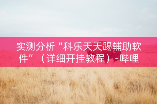 实测分析“科乐天天踢辅助软件”（详细开挂教程）-哔哩哔哩