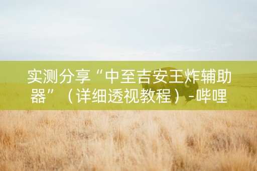 实测分享“中至吉安王炸辅助器”（详细透视教程）-哔哩哔哩