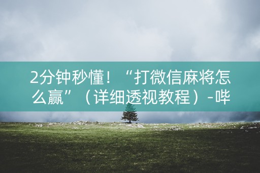 2分钟秒懂！“打微信麻将怎么赢”（详细透视教程）-哔哩哔哩