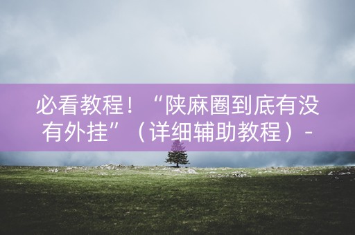 必看教程！“陕麻圈到底有没有外挂”（详细辅助教程）-哔哩哔哩