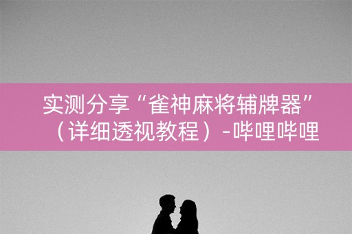 实测分享“雀神麻将辅牌器”（详细透视教程）-哔哩哔哩