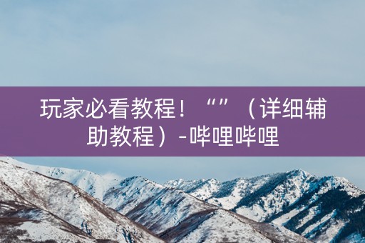 玩家必看教程！“”（详细辅助教程）-哔哩哔哩