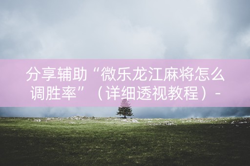 分享辅助“微乐龙江麻将怎么调胜率”（详细透视教程）-哔哩哔哩