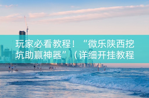 玩家必看教程！“微乐陕西挖坑助赢神器”（详细开挂教程）-哔哩哔哩