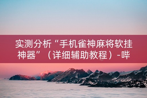 实测分析“手机雀神麻将软挂神器”（详细辅助教程）-哔哩哔哩