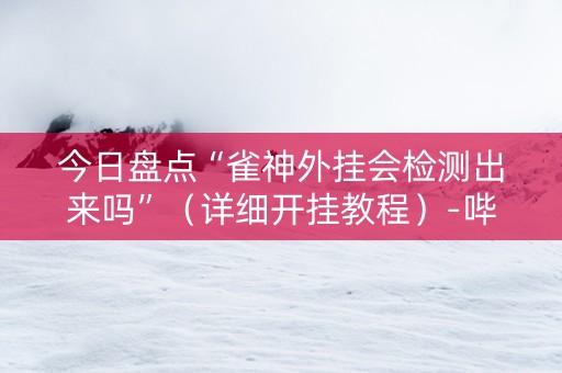 今日盘点“雀神外挂会检测出来吗”（详细开挂教程）-哔哩哔哩