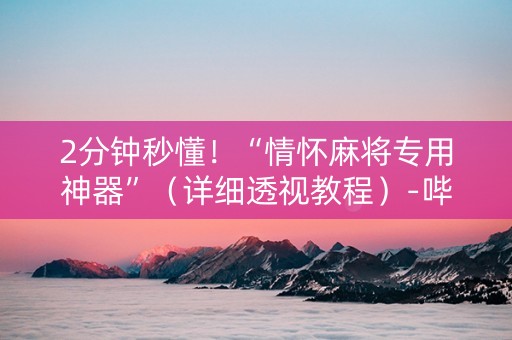 2分钟秒懂！“情怀麻将专用神器”（详细透视教程）-哔哩哔哩