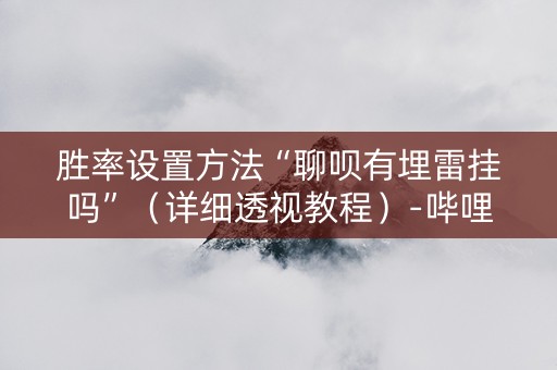 胜率设置方法“聊呗有埋雷挂吗”（详细透视教程）-哔哩哔哩