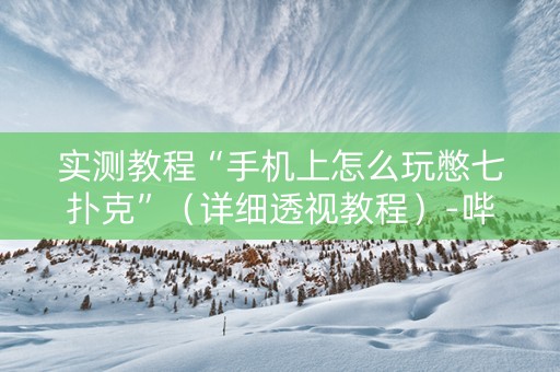 实测教程“手机上怎么玩憋七扑克”（详细透视教程）-哔哩哔哩