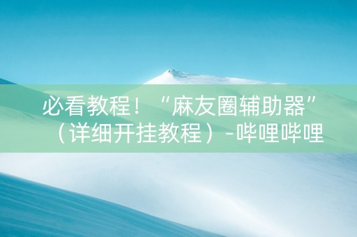 必看教程！“麻友圈辅助器”（详细开挂教程）-哔哩哔哩