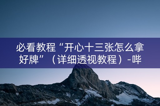 必看教程“开心十三张怎么拿好牌”（详细透视教程）-哔哩哔哩