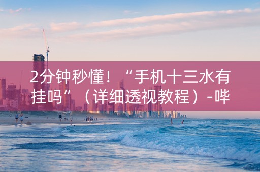2分钟秒懂！“手机十三水有挂吗”（详细透视教程）-哔哩哔哩