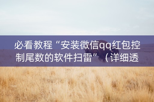 必看教程“安装微信qq红包控制尾数的软件扫雷”（详细透视教程）-哔哩哔哩