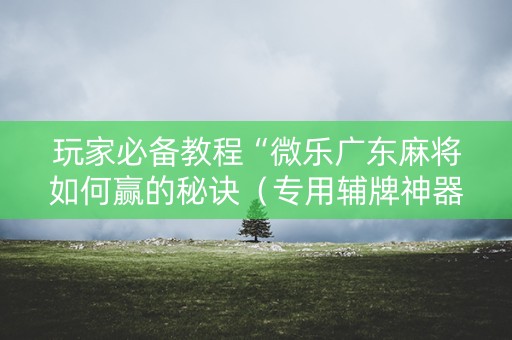玩家必备教程“微乐广东麻将如何赢的秘诀（专用辅牌神器免安装）