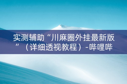 实测辅助“川麻圈外挂最新版”（详细透视教程）-哔哩哔哩