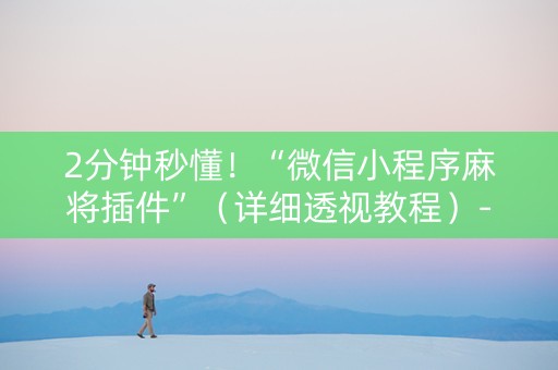 2分钟秒懂！“微信小程序麻将插件”（详细透视教程）-哔哩哔哩