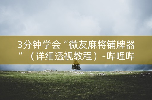 3分钟学会“微友麻将铺牌器”（详细透视教程）-哔哩哔哩