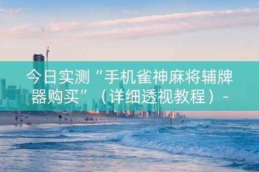 今日实测“手机雀神麻将辅牌器购买”（详细透视教程）-哔哩哔哩