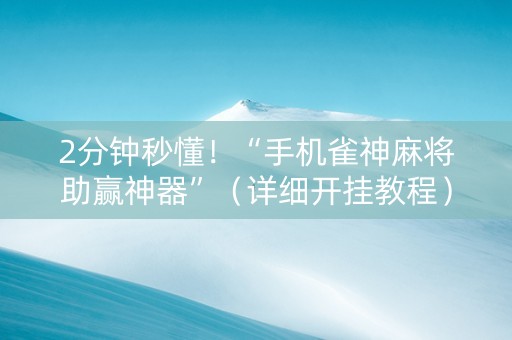 2分钟秒懂！“手机雀神麻将助赢神器”（详细开挂教程）-哔哩哔哩
