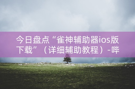 今日盘点“雀神辅助器ios版下载”（详细辅助教程）-哔哩哔哩