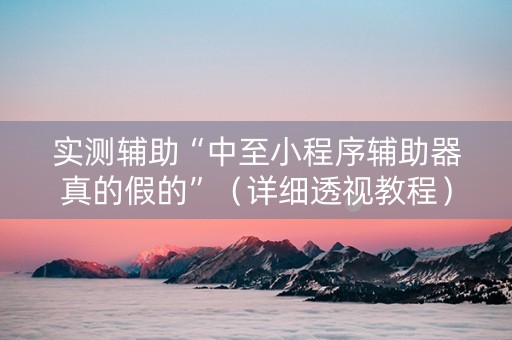 实测辅助“中至小程序辅助器真的假的”（详细透视教程）-哔哩哔哩