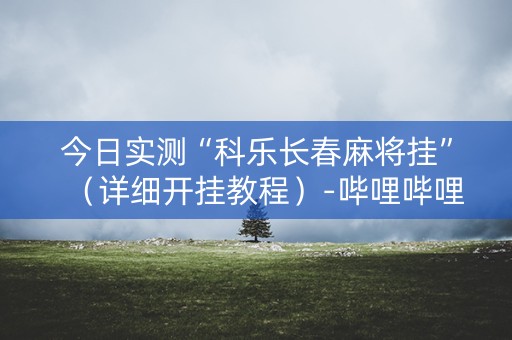 今日实测“科乐长春麻将挂”（详细开挂教程）-哔哩哔哩