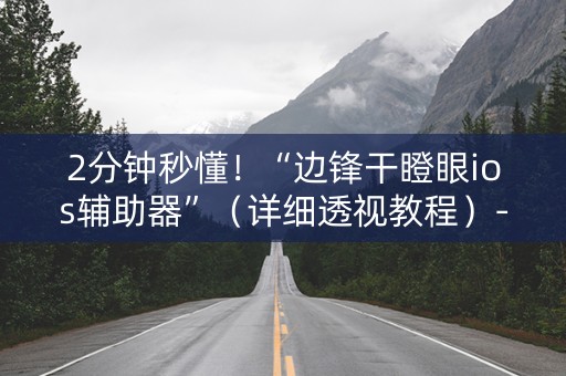 2分钟秒懂！“边锋干瞪眼ios辅助器”（详细透视教程）-哔哩哔哩