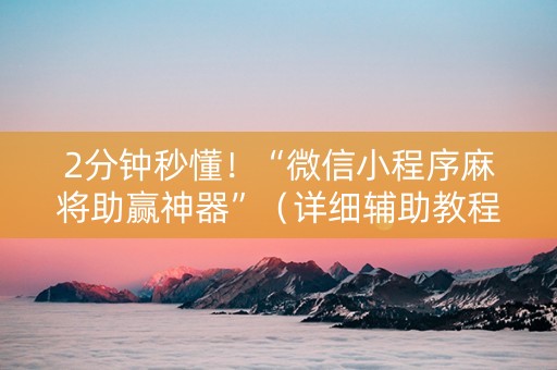2分钟秒懂！“微信小程序麻将助赢神器”（详细辅助教程）-哔哩哔哩
