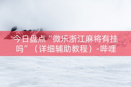 今日盘点“微乐浙江麻将有挂吗”（详细辅助教程）-哔哩哔哩